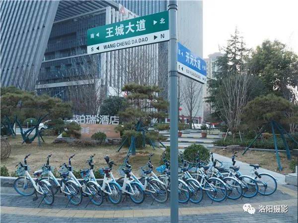 92月3日，洛龙区开元大道与王城大道交叉口，共享单车”真听话“。.jpg
