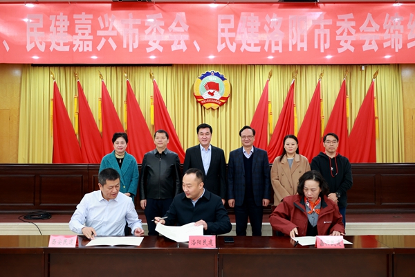 3J6A6142(1)(1)_副本