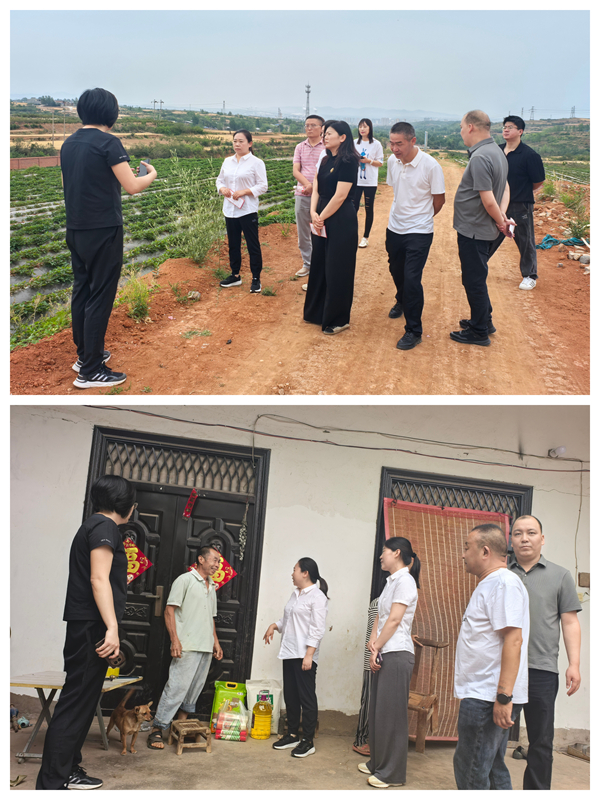 微信图片_20250609092810_副本_副本