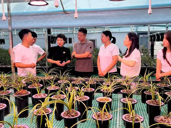 微信图片_20250825151433_218_17_副本